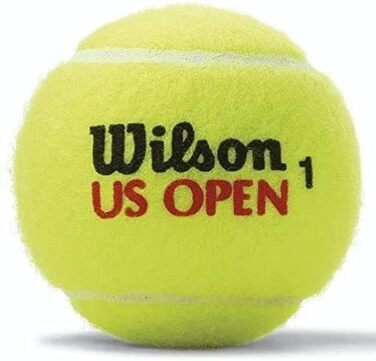 Тенісні м'ячі Wilson US Open XD для хард-корту, 4 шт, жовті