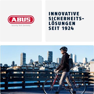 Ланцюговий замок для велосипеда ABUS Steel-O-Chain 880, загартована сталь, рівень безпеки 8, чорний, 110 см