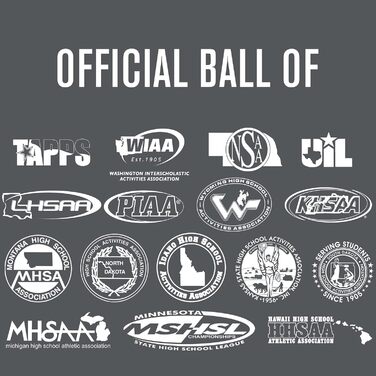 Волейбольний м'яч Baden Perfection Premium Leather, офіційний, 13U - Коледж, червоно-біло-морський