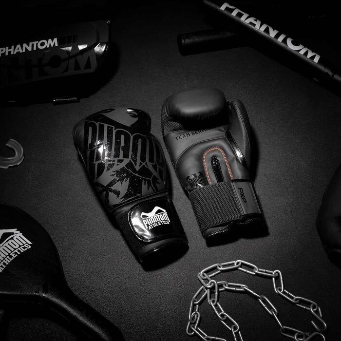 Боксерські рукавички Phantom Germany Eagle для MMA та Муай-Тай, чорні, 10 oz