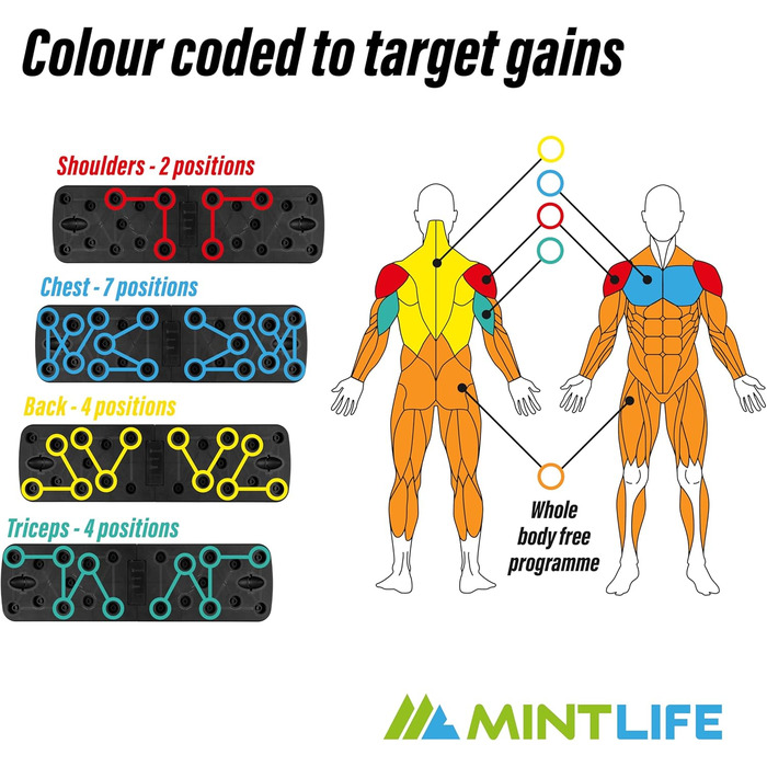 Дошка для віджимань Mintlife Power Press - портативна для дому та подорожей, з 30-тижневою програмою тренувань