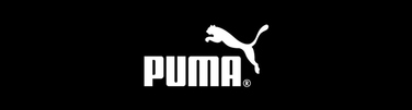Кросівки Puma Skyrocket Lite 379437 08