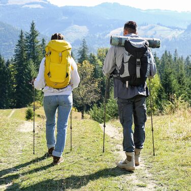 Трекінгові палиці для скандинавської ходьби Nordic Walking, ультралегкі односекційні палиці з гумовими наконечниками для жінок та чоловіків (Чорний, 110/115 см)