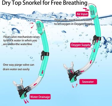 Набір для снорклінгу для дорослих з ластами, маскою та сухим трубкою Aquagrün S/M (36-41)