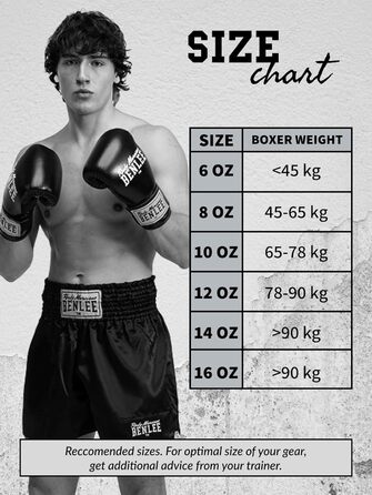 Боксерські рукавички BENLEE Carlos з екошкіри, 06 oz, срібно-чорні