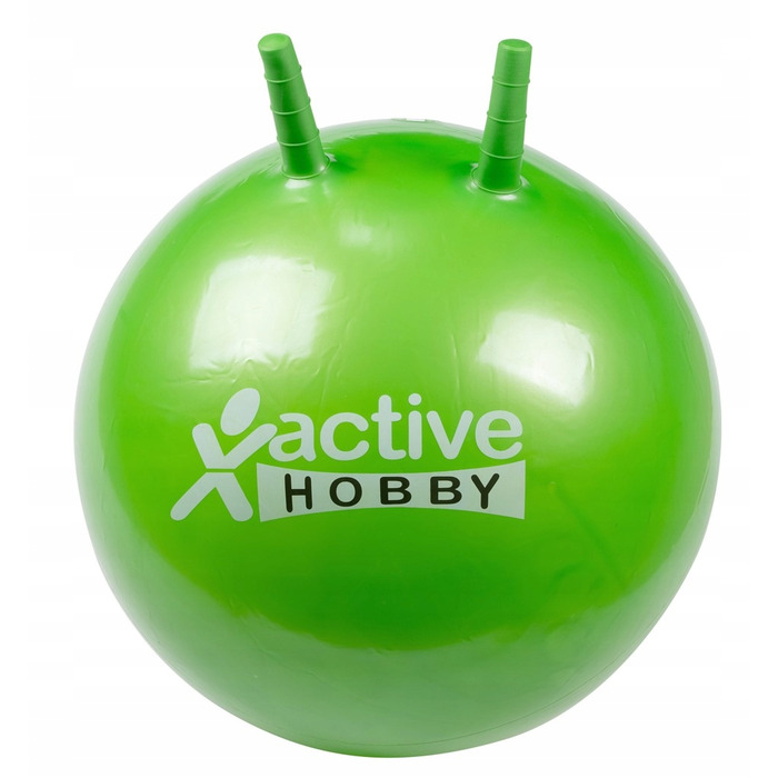 Батут із сіткою Active Hobby 312 см FT 10 (304-312 см)