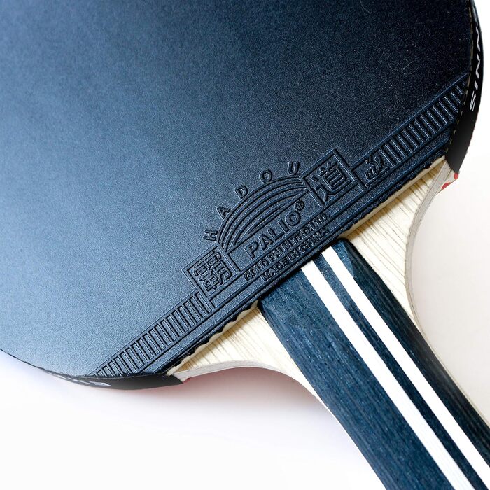 Набір тенісних столів Palio Legend 3.0 з чохлом | ITTF-сертифікований професійний пінг-понговий набір | Максимальна потужність, швидкість та обертання (2 ракетки)