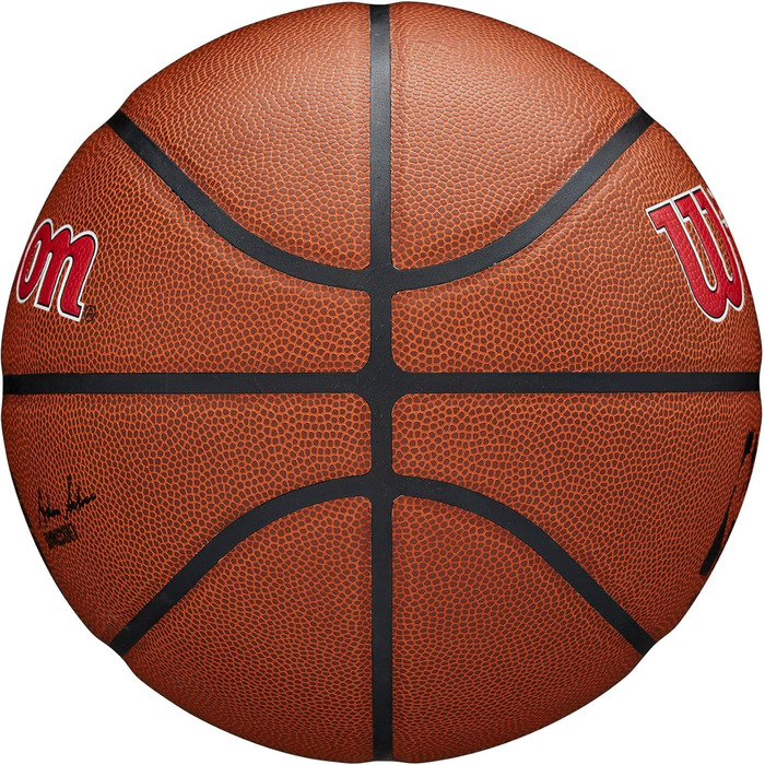 Баскетбольний м'яч Wilson NBA Team Alliance Toronto Raptors, розмір 7 (29,5 дюйма)
