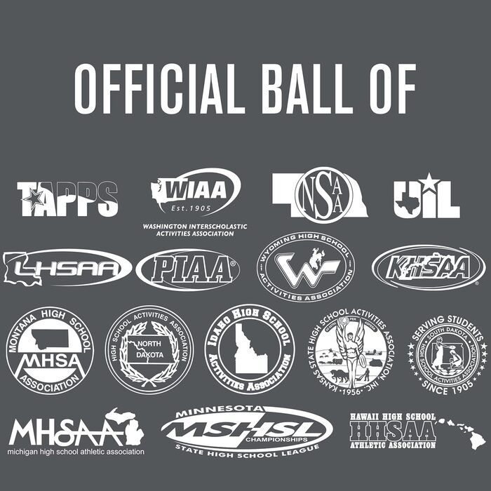 Волейбольний м'яч Baden Perfection Premium Leather, офіційний, 13U - Коледж, червоно-біло-морський