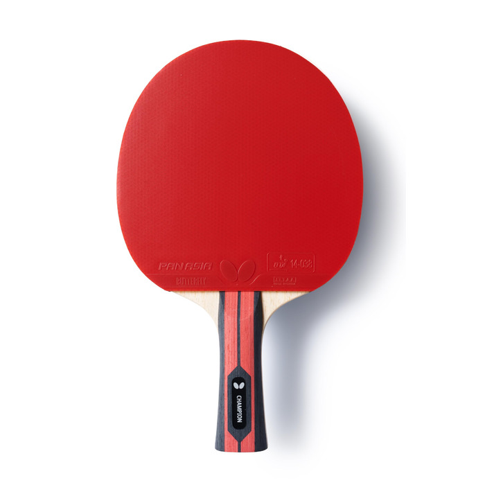 Тенісний стіл для настільного тенісу Team Butterfly Champion | Професійний стіл для гри, сертифікований ITTF