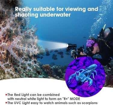 Willcrew DX70: Потужний водонепроникний дайверський ліхтар з регулюванням яскравості та UV/Red світлом, 3000 люменів, 100 метрів, для дайвінгу та фото/відео зйомки під водою