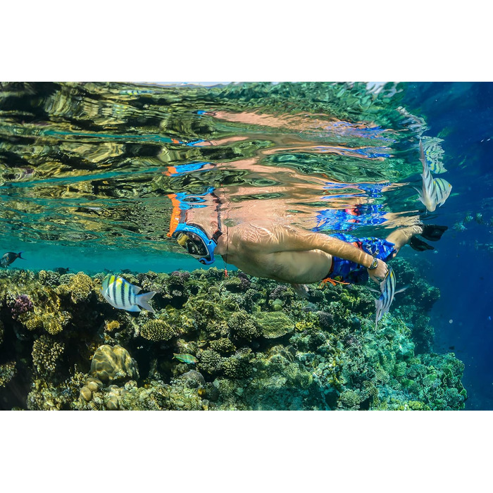 Маска для снорклінгу OCEAN REEF Aria QR з трубкою - повна маска для підводного плавання, 180° огляд (Medium/Large, блакитна)
