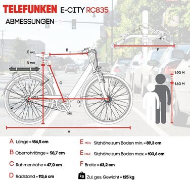 Електровелосипед TELEFUNKEN RC835 для міста, 28 дюймів, 250 Вт, 468 Вт·год, 3-швидкісна втулка, для жінок і чоловіків, до 100 км, з допуском до дороги