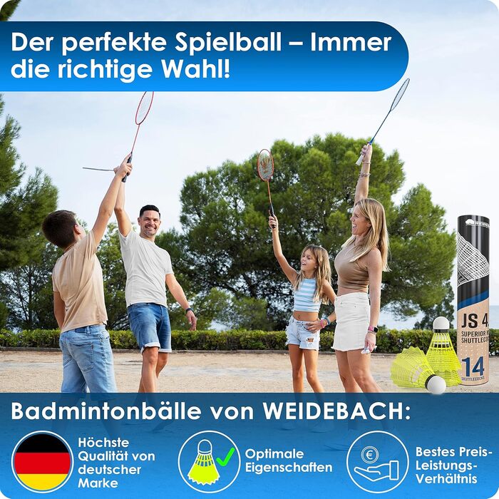 Набір для бадмінтону 14er Federball Set Plus: м'ячі, інструкція, для початківців та професіоналів