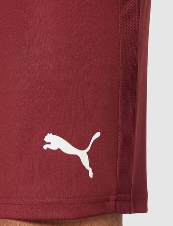 Чоловічі футбольні шорти PUMA Teamgoal 23 Knit трикотажні, колір Cordovan, розмір L