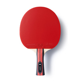 Тенісний стіл для настільного тенісу Team Butterfly Champion | Професійний стіл для гри, сертифікований ITTF