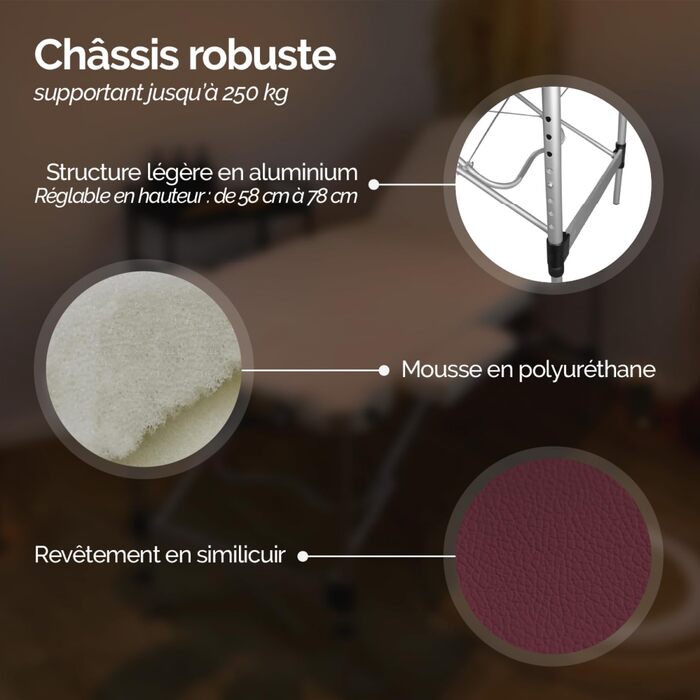 Складаний масажний стіл Vivezen з алюмінію (2 зони) + аксесуари та сумка для транспортування (колір слива)