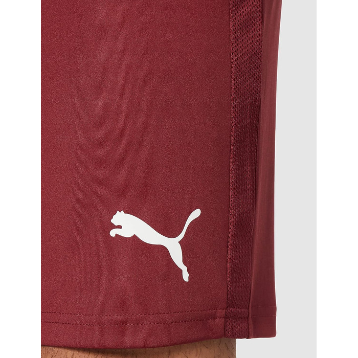Чоловічі футбольні шорти PUMA Teamgoal 23 Knit трикотажні, колір Cordovan, розмір L