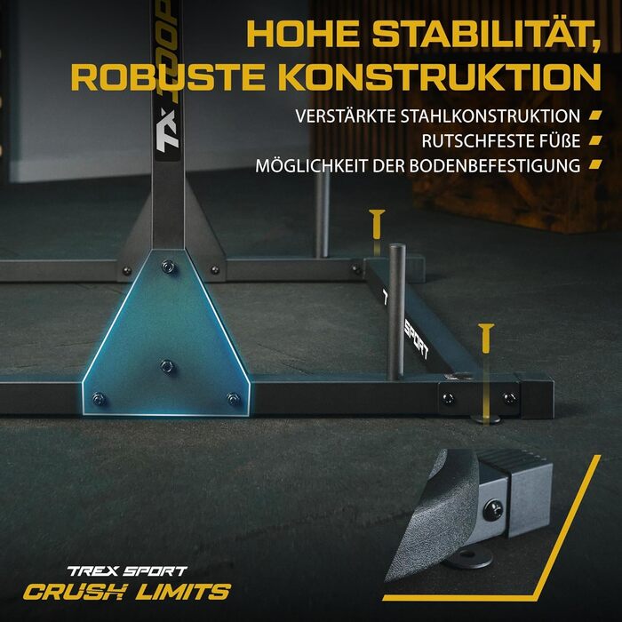 Power Tower TREX SPORT TX-100PR: Силова станція для підтягувань та віджимань, сталевий каркас, до 300 кг, чорний