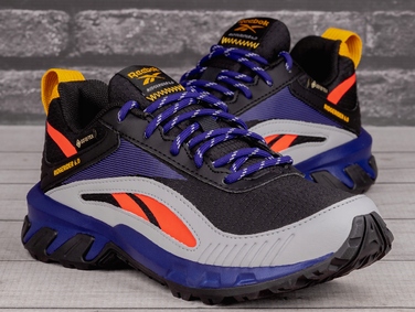 Жіночі спортивні трекінгові черевики REEBOK Ridgerider 6 GORE-TEX, 35