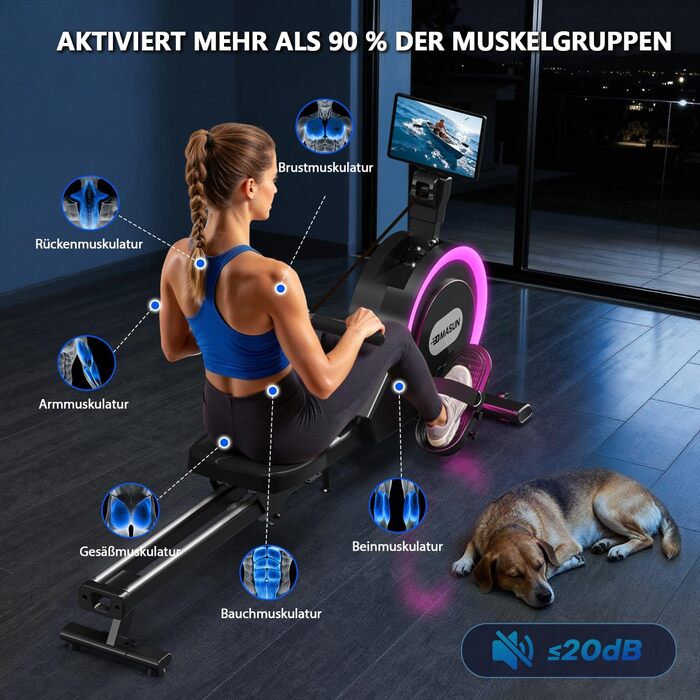 Гребний тренажер DMASUN для дому, [Нова модель 2026] з магнітною системою, покращені рейки подвійного ходу, тиха робота, 16/32 рівні опору, LCD-дисплей, до 160 кг, чорний