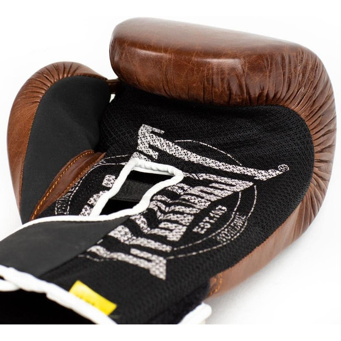 Боксерські рукавички Everlast 1910 Classic, унісекс, 12oz, коричневі, для тренувань