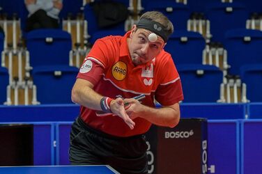 Професійна ракетка для настільного тенісу Butterfly Timo Boll SG99 з ITTF сертифікованим покриттям Wakaba, анатомічною ручкою smart.Grip для тактичних гравців