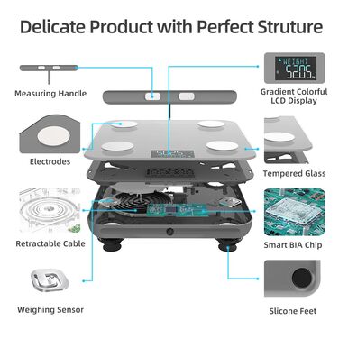 Fitdays Розумна вага для аналізу тіла - 8 електродів, точна цифрова вага BMI з 20+ показниками, Bluetooth, дисплей з кольоровою індикацією м'язів/жиру/води, синхронізація для 6 користувачів (FG2211LB-Сірий)