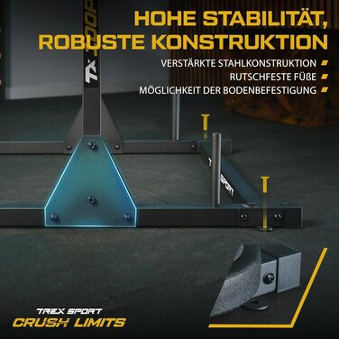 Power Tower TREX SPORT TX-100PR: Силова станція для підтягувань та віджимань, сталевий каркас, до 300 кг, чорний