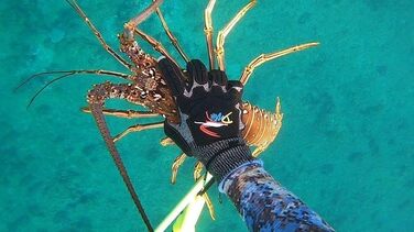 Рукавички для дайвінгу Kevar Spearfishing | Спеціальні рукавички для підводної ловлі | Стійкі до проколів | Розмір M