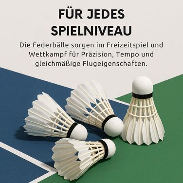 Набір для бадмінтону BEST SPORTING: 6 турнірних м'ячів з натураним пір'ям, середня швидкість