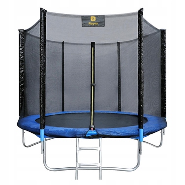Дитячий садовий батут RIPPEY 8FT (244 см)