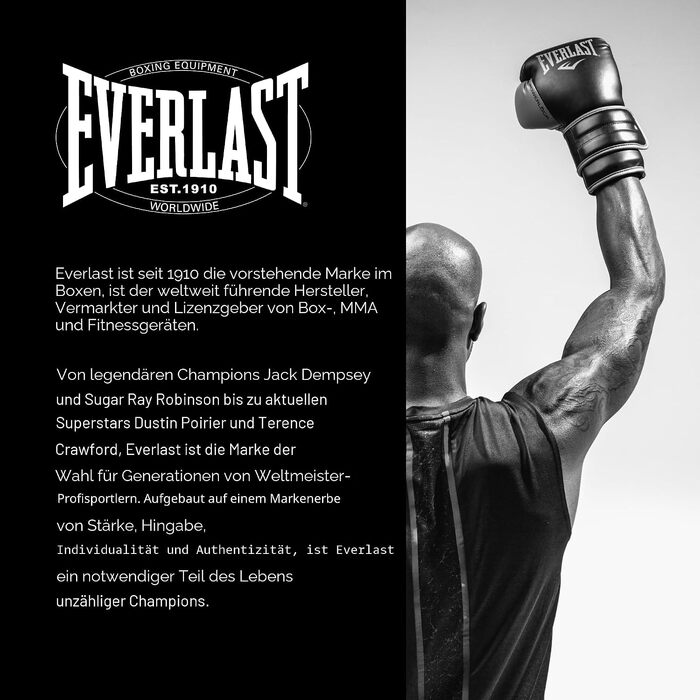 Боксерські рукавички Everlast Powerlock 2R для тренувань, спарингу та груші, 14oz, колір вугільний (Charcoal)