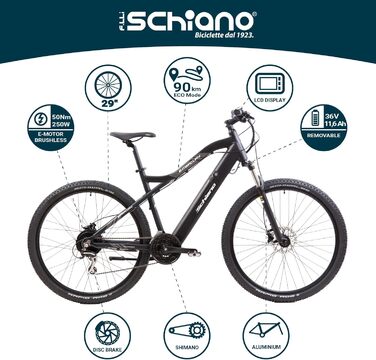 Електровелосипед F.lli Schiano E-Mercury 29
