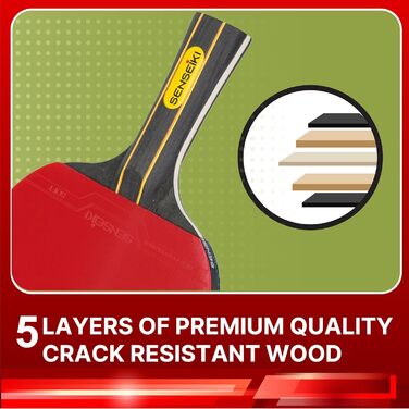 Набір для пінг-понгу: 2 ракетки преміум-класу, 3 зіркових м'ячі, компактний кейс | Набір для настільного тенісу