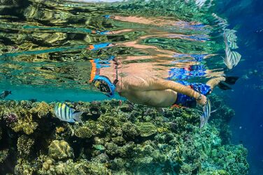 Маска для снорклінгу OCEAN REEF Aria QR з трубкою - повна маска для підводного плавання, 180° огляд (Medium/Large, блакитна)