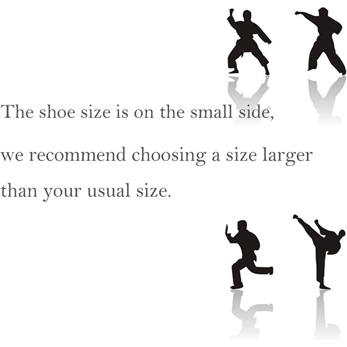 Традиційні китайські тапочки Пекінський стиль для Кунг-Фу та Тай-Чи, гумова підошва, унісекс, чорний, 46 EU