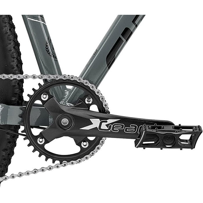 Гірський велосипед Eastern Bikes Alpaka 29