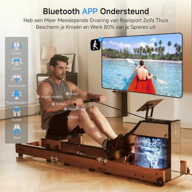 Гребний тренажер для дому з водним опором, 5 рівнів налаштування, 120 кг вантажопідйомність, сумісність з додатком, дуб