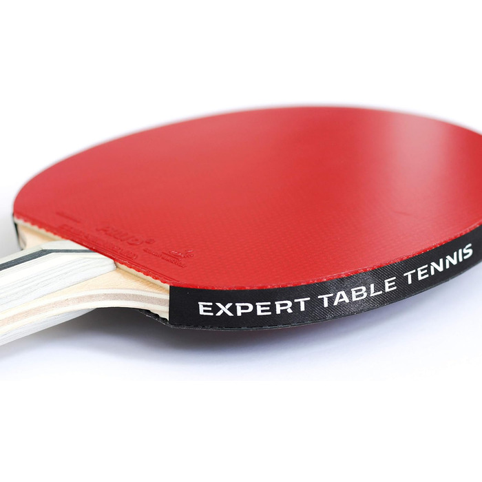 Ракетка для настільного тенісу Palio Expert 3.0 з кейсом | ITTF, професійна, для початківців | Максимальний спін та контроль