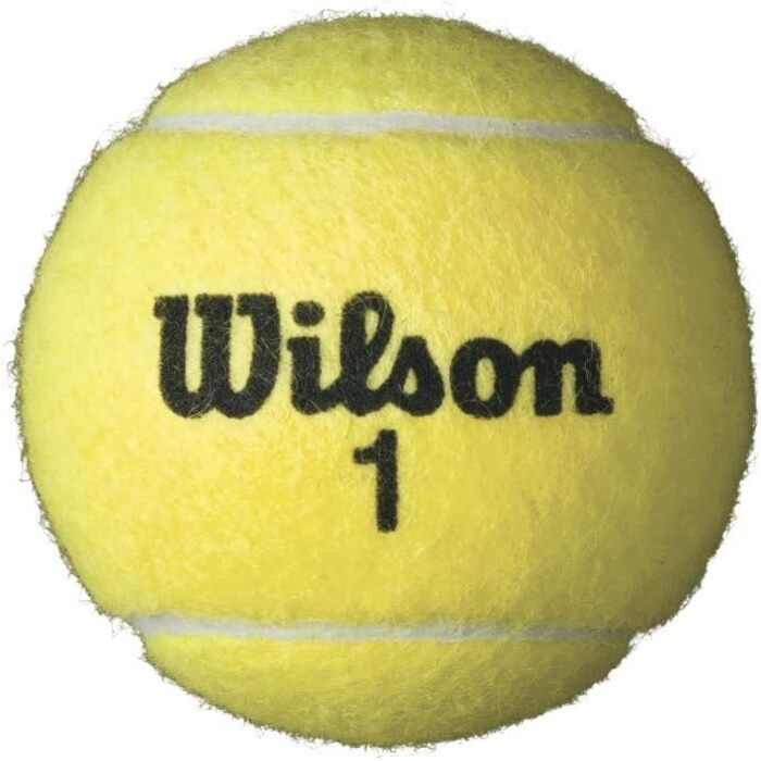 Тенісні м'ячі Wilson Championship All Court 72 шт. (18 туб по 4 м'ячі) – набір для матчів і тренувань, подарунок для тенісистів, аксесуари для тенісу