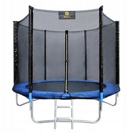Дитячий садовий батут RIPPEY 8FT (244 см)