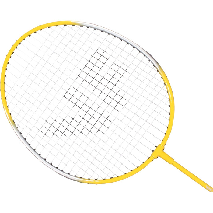 Набір для бадмінтону VICFUN - різноманітні розміри, для всієї родини. Базовий комплект