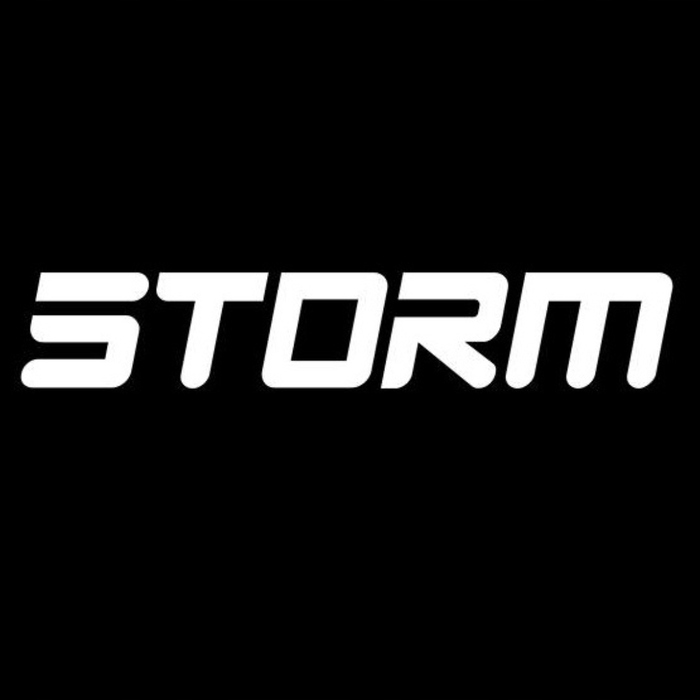 Тренувальна скакалка STORM SPEED ROPE SV2, зелена + чохол
