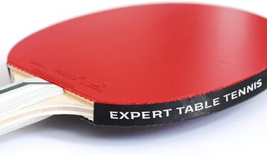 Ракетка для настільного тенісу Palio Expert 3.0 з кейсом | ITTF, професійна, для початківців | Максимальний спін та контроль