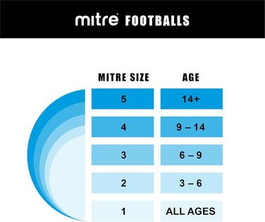 Професійний футбольний м'яч Mitre Delta Max