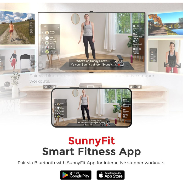 Степпер Sunny Health & Fitness Twist з еспандерами та рукояткою для фітнесу