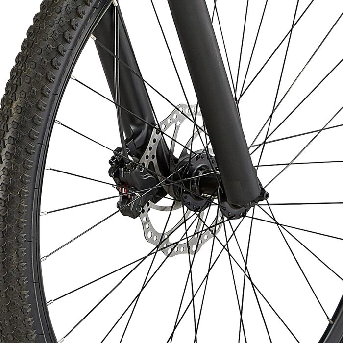 Гірський велосипед Eastern Bikes Alpaka 29