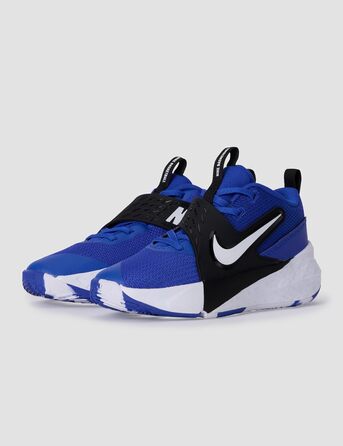 Дитячі кросівки Nike Team Hustle D 12, HF6280, Game Royal/White/Black, 32 EU