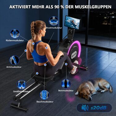 Гребний тренажер DMASUN для дому, [Нова модель 2026] з магнітною системою, покращені рейки подвійного ходу, тиха робота, 16/32 рівні опору, LCD-дисплей, до 160 кг, чорний